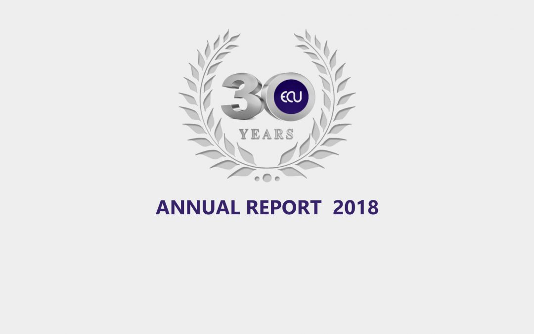AGM Annual Report 2018